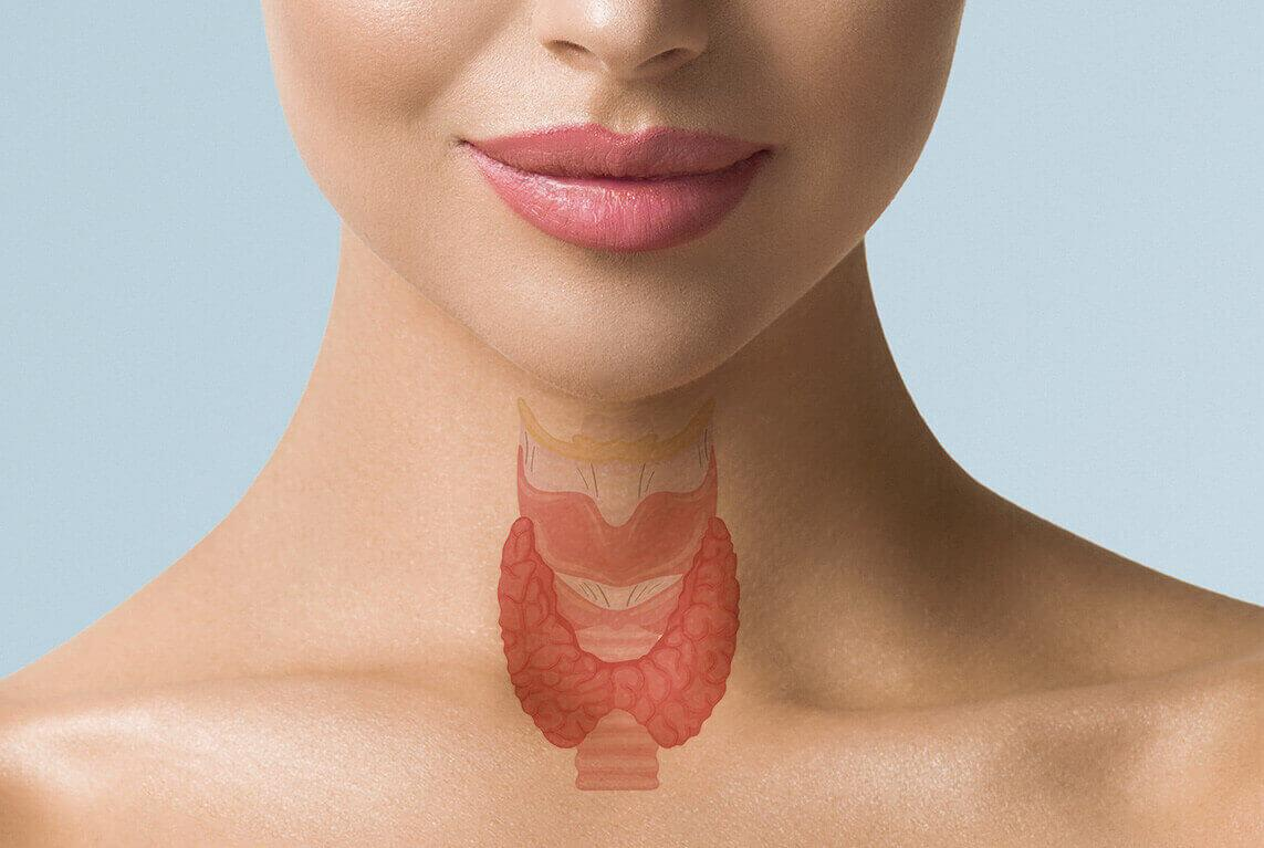 Beyond Medication: How to Better Support Your Thyroid